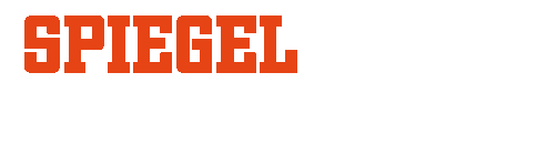 343 Spiegel TV action + crime