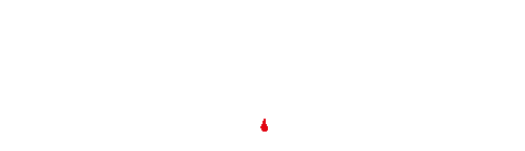 339 Vier Frauen und ein Todesfall